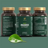 GINGER EXTRACT capsules