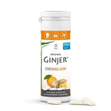 GINGER GINJER Chewing Gum 30 g