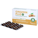 GINGERIN PLUS gingerol and shogaol capsules 60 pcs