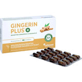 GINGERIN PLUS gingerol and shogaol capsules 60 pcs