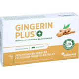 GINGERIN PLUS gingerol and shogaol capsules 60 pcs