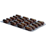 GINGERIN PLUS gingerol and shogaol capsules 60 pcs