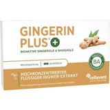 GINGERIN PLUS gingerol and shogaol capsules 60 pcs