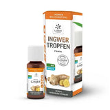 GINGER GINJER forte drops 20 ml