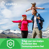 GINKGO BILOBA EXTRACT 6000 mg vegan capsules 180 count