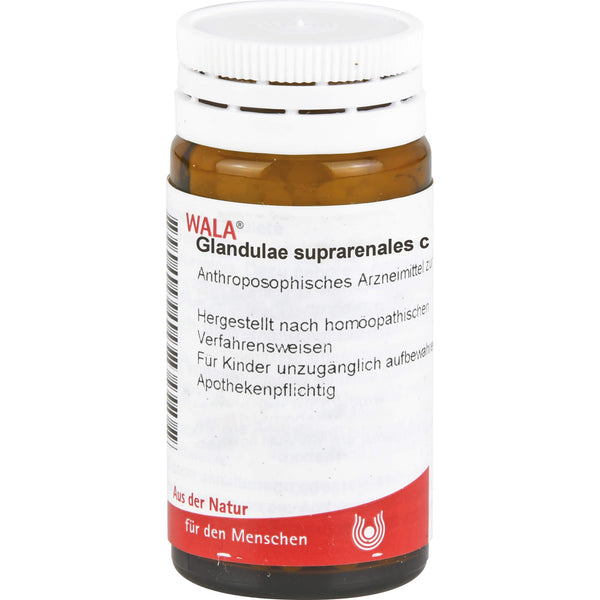 GLANDULAE SUPRARENALES comp.Globuli