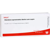 GLANDULA SUPRARENALES dextra cum cupro ampoules
