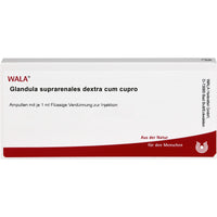 GLANDULA SUPRARENALES dextra cum cupro ampoules