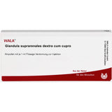 GLANDULA SUPRARENALES dextra cum cupro ampoules