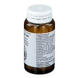 Gallbladder and liver diseases, BIOCHOLANGEN WR Tablets