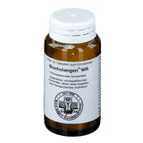 Gallbladder and liver diseases, BIOCHOLANGEN WR Tablets