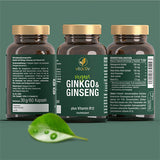 Ginko biloba leaf extract, panax ginseng root extract, B12