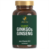 Ginko biloba leaf extract, panax ginseng root extract, B12