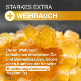 Glucosamine Chondroitin high-dose Vitamin C 360 pcs