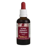 Grapevine, black alder, black poplar, rye, mountain pine, weeping willow, juniper, GEMMO-7-7 buds seasoning