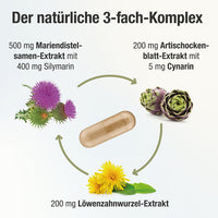 HEPAVENT Plus Liver Choline Milk Thistle. Artichoke