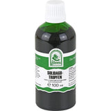 Hecht-Pharma Solidago Herbal Liquid Drops Bottle Supplement