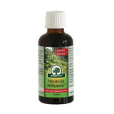 Heisteria millennia tincture