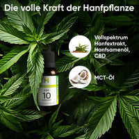 Hempamed Premium CBD Oil 10%