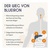 Iron supplement for children, Iron Liquid Oral Solution