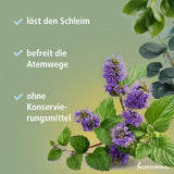 KLOSTERFRAU Cold Balm, eucalyptus, camphor, menthol - 4