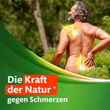 KYTTA pain ointment 150 g Comfrey root fluid extract