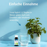 Klosterfrau Japanese Medicinal Plant Oil 20ml