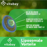 LIPOSOMAL NAD+ 1000 mg+trans-Reveratrol 600 mg 90 pcs