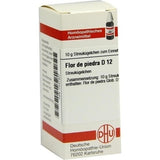 Lophophytum leandri FLOR DE PIEDRA D 12 globules 10 g