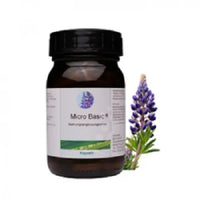 MICRO BASIC capsules 100 pcs