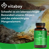 MSM 1000 mg methylsulfonylmethane vegan tablets 365 pcs