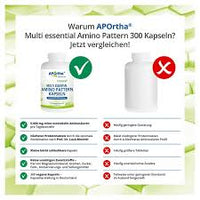 MULTI ESSENTIAL Amino Pattern Capsules 300 pcs