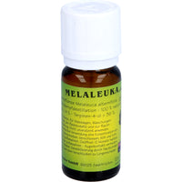 Melaleuca alternifolia, MELALEUKA oil organic cultivation