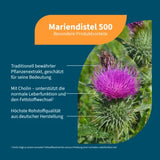 Milk thistle 500 Silymarin & Choline vegan capsules 90 count - 2