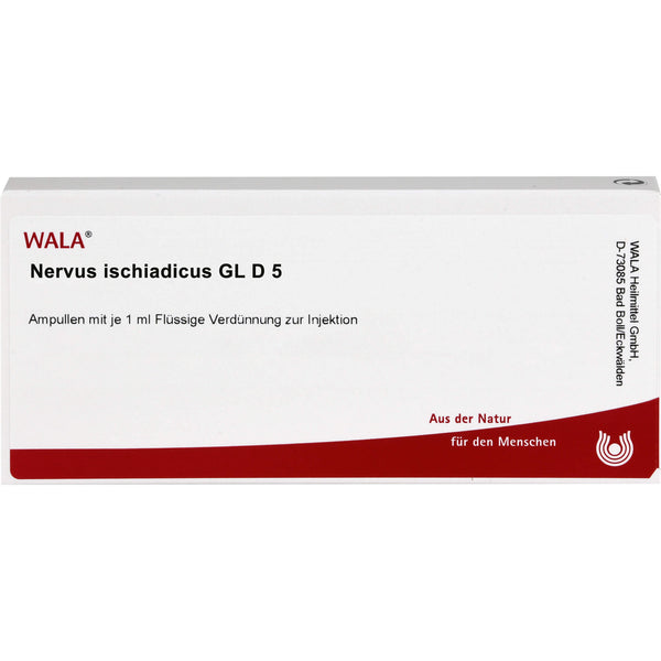 NERVUS ISCHIADICUS GL D 5 Ampoules