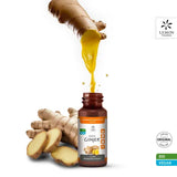 Organic Ginger Root  GINGER GINJER forte drops 50ml