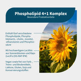 PHOSPHOLIPID 4+1 complex serine+choline+inositol 150 pcs - 2