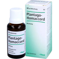 PLANTAGO HOMACCORD drops