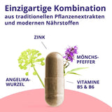 PMS Calm Chasteberry Monk's Pepper Angelica Root