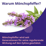 PMS Calm Chasteberry Monk's Pepper Angelica Root