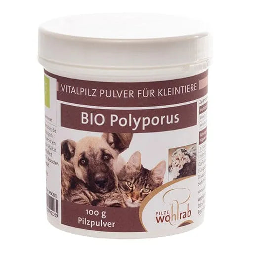 POLYPORUS ORGANIC feed powder for animals