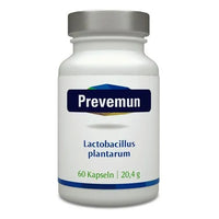 PREVEMUN Lactobacillus plantarum Capsules