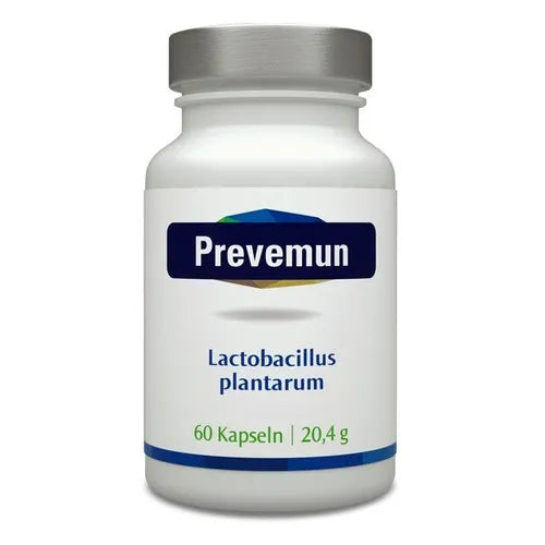 PREVEMUN Lactobacillus plantarum Capsules