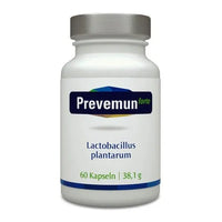 PREVEMUN forte Lactobacillus plantarum capsules 60 pcs