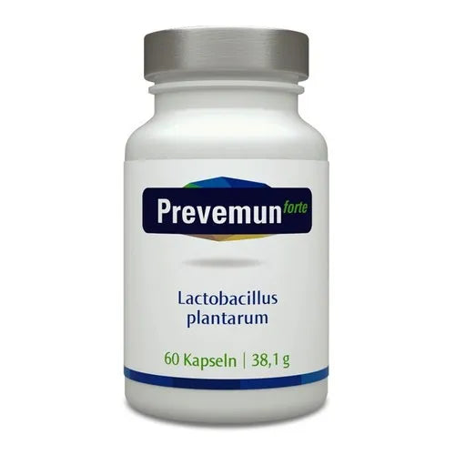 PREVEMUN forte Lactobacillus plantarum capsules 60 pcs