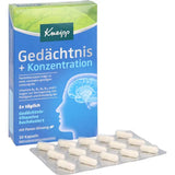 Panax Ginseng, memory + concentration capsules