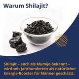 Peak performance for men, Performx M Mumijo Shilajit