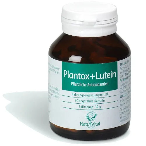 Plantox+Lutein, lycopene, ginger, blueberry, turmeric, grape, broccoli