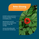 RED PANAX Ginseng 20% Ginsenosides vegan Capsules 90 count