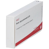RENES REGIO pyelorenalis GL D 5 ampoules